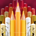 Andstal 100colors Caja de regalo Phoenixcolor lápices de color de arte de arte Colorado Matite Cinese para la pintura de la escuela